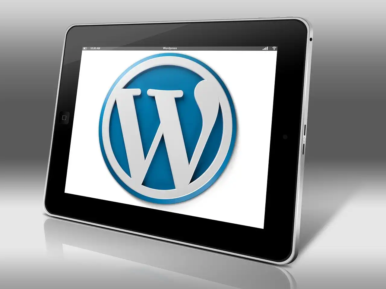 Wordpress Ebook